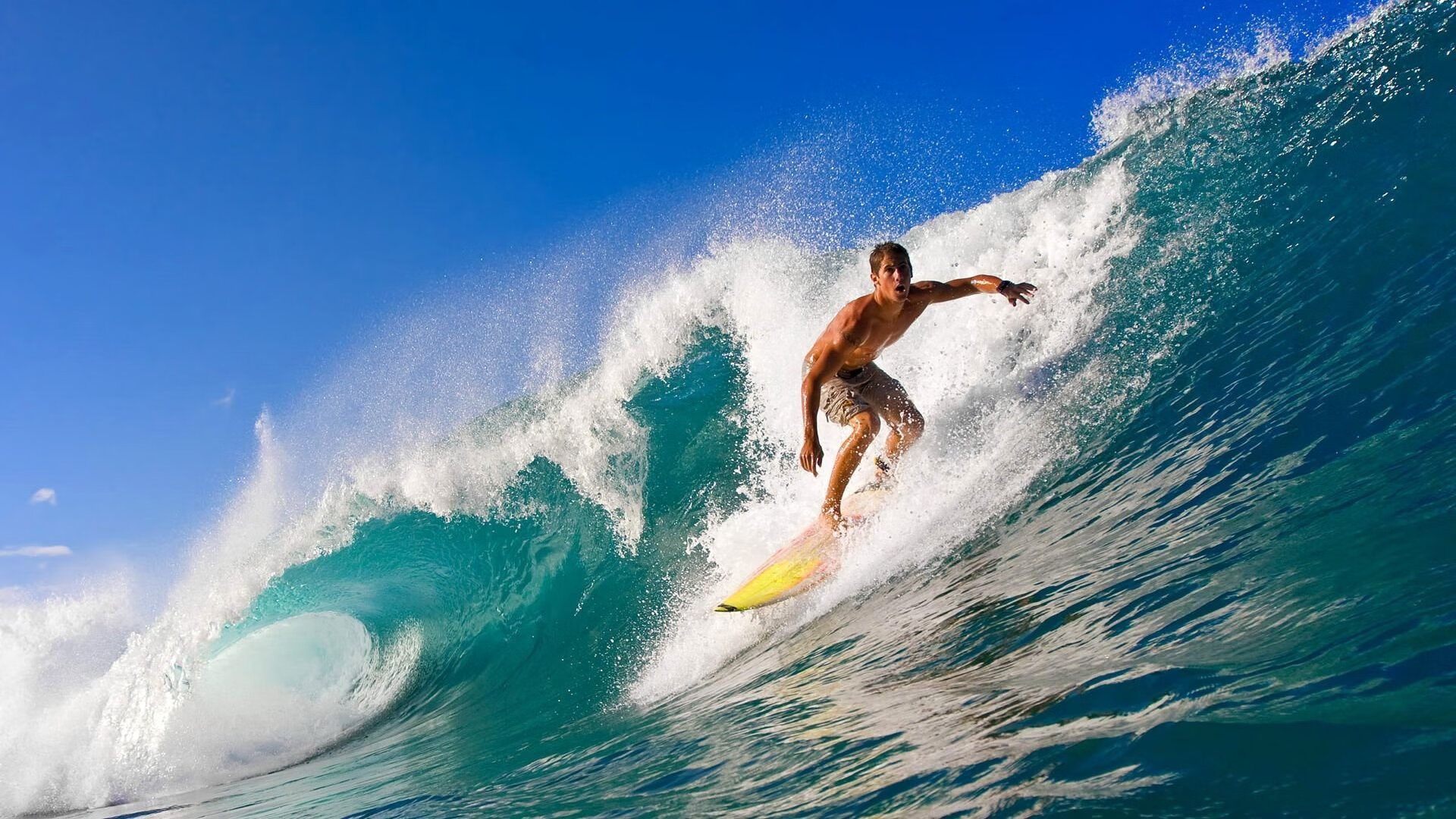 球迷热情高涨：现场氛围究竟有多火爆？，球队氛围怎么表达